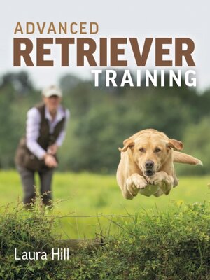 cover image of Advanced Retriever Training
